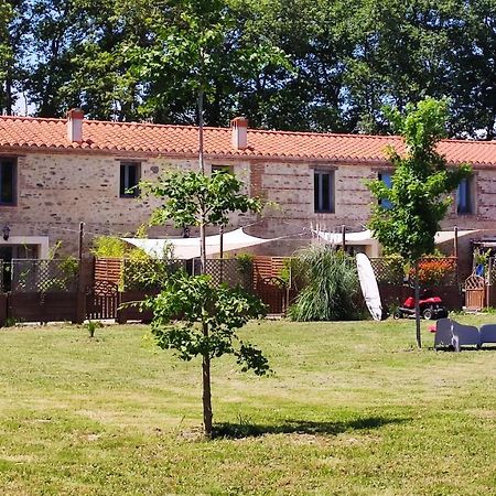 Les Appartements Du Mas Riols Saint-Cyprien Kültér fotó