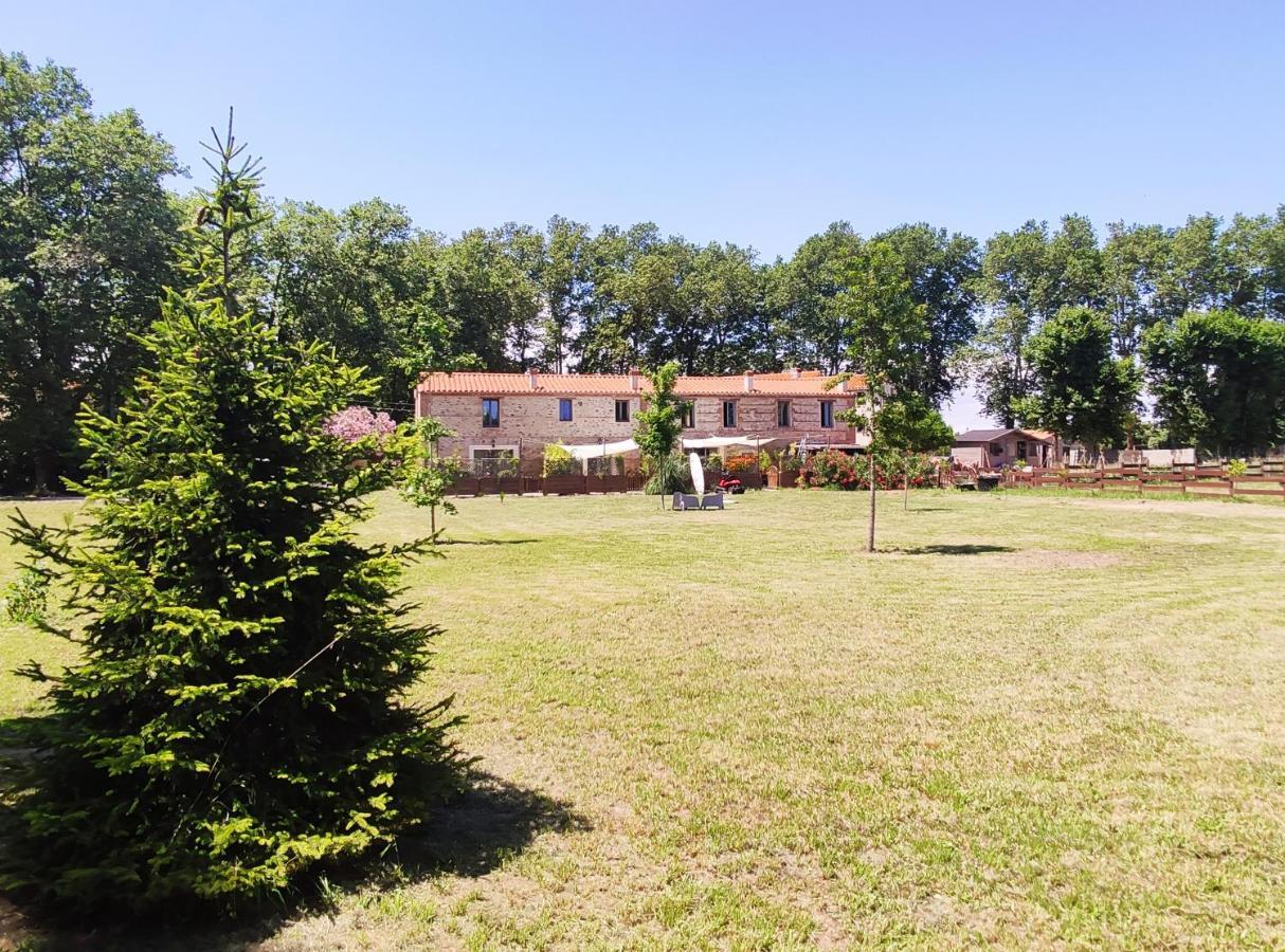 Les Appartements Du Mas Riols Saint-Cyprien Kültér fotó